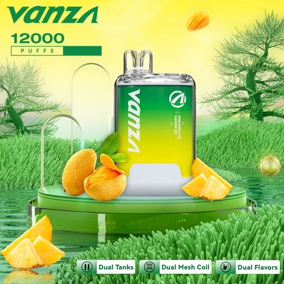 Vanza twins 2in1 12000 puff